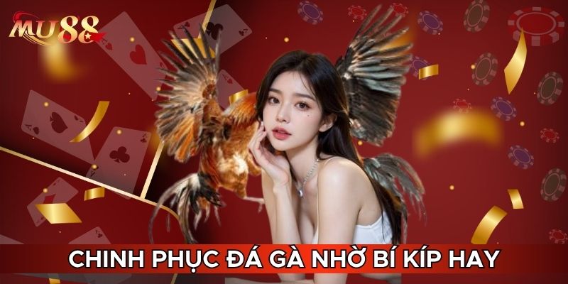 Chinh phục đá gà nhờ bí kíp hay