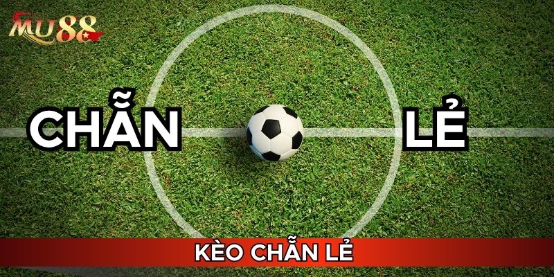 Khám phá kèo chẵn lẻ